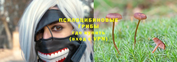 МДПВ Богданович