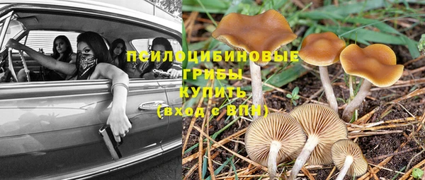 амфетамин Богородицк