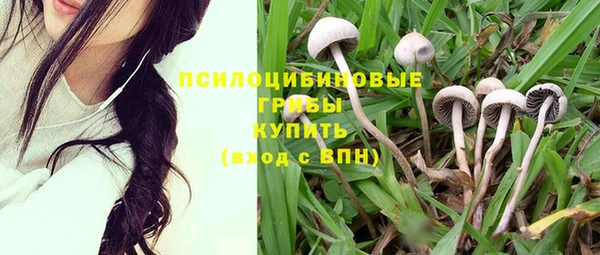 амфетамин Богородицк